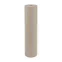 Rotolo Lenzuolino Medico 100% Riciclato - 60 cm x 75 metri - Rotolo Carta Lettino - Igiene Sicurezza e Monouso carta