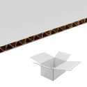SCATOLE 1 ONDA BIANCHE AUTOMONTANTI FONDO A SCATTO ANTI EFFRAZIONE CON PATELLA ADESIVA MISURA 22X21X11 - Scatole