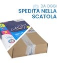 CARTA COLOR COPY MONDI GR 100/MQ - Ufficio e cancelleria