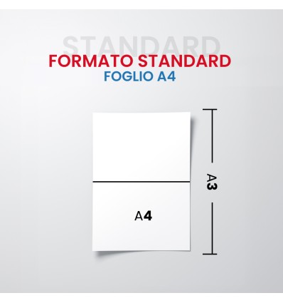 CARTA COLOR COPY MONDI GR 160/MQ - Ufficio e cancelleria