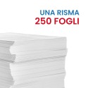 CARTA COLOR COPY MONDI GR 220/MQ - Ufficio e cancelleria