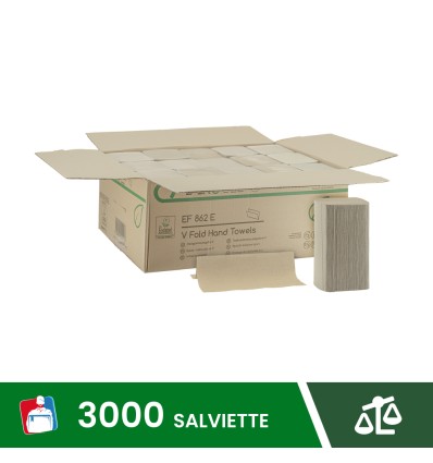 ASCIUGAMANI PIEGATI A V 100% RICICLATO - Igiene Sicurezza e Monouso carta