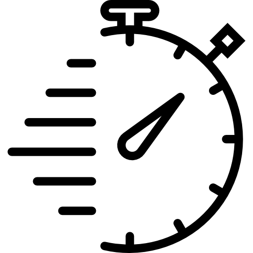 Spedizione rapida
