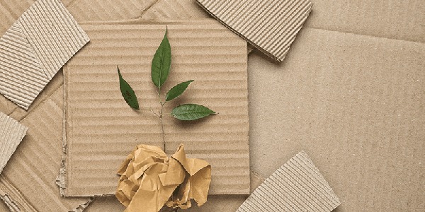 3 modi per rendere il tuo imballaggio 100% ecosostenibile